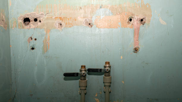 Best Ceiling water damage repair  in West Falls Church, VA