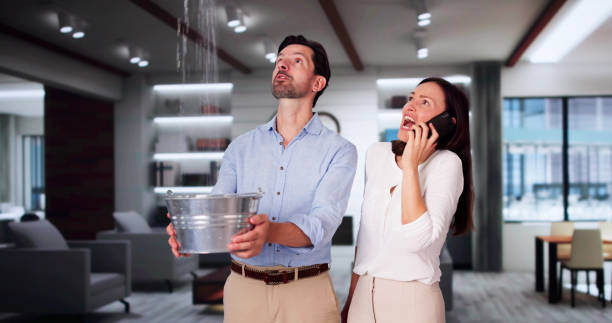 Best Carpet water damage restoration  in West Falls Church, VA